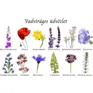   Moje divlje cvijeće autohtono mađarsko sjeme cvijeća Razglednica s divljim cvijećem 1 g