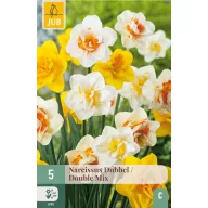 Cvjetna lukovica narcisa dvostruka mješavina 5 kom JUB