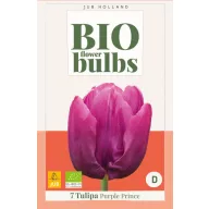 BIO lukovica tulipana Purple Prince 7 kom JUB