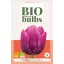 BIO lukovica tulipana Purple Prince 7 kom JUB