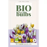 BIO lukovice krokusa (Crocus sp.) Mix 15 kom JUB