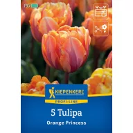 Lukovice tulipana Orange Princess 5 kom Kiepenkerl