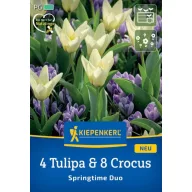   Lukovice cvijeća Mix 4 Tulipa & 8 Crocus Springtime Duo Kiepenkerl 12 kom