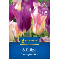 Lukovice tulipana Countryside Duo Kiepenkerl 8 kom