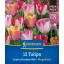 Lukovice tulipana Joyful Garden Mix Megapack Kiepenkerl 12 kom
