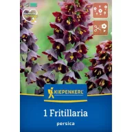   Lukovica Perzijska carska kruna (Fritillaria persica) Kiepenkerl 1 kom