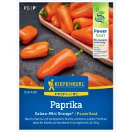   Paprika-snack Salma®-Mini Orange, F1 Kiepenkerl cca. 5 sjemenki