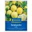 Limun-krastavac Lemon Kiepenkerl cca. 15 kom sjemenki