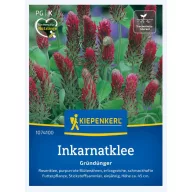   Bíborhere (Trifolium inc.) - zeleni gnoj i paša za pčele za 25 m2 Kiepenkerl