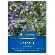   Medonosna facelija (Phacelia tan.) - zeleni pokrov i paša za pčele za 25 m2 Kiepenkerl