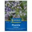 Medonosna facelija (Phacelia tan.) - zeleni pokrov i paša za pčele za 25 m2 Kiepenkerl