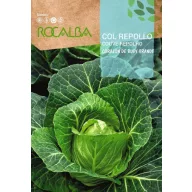 Kupus Corazon De Buey Grande Rocalba 8 g