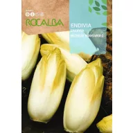 Endivija Mechelse Middelvroeg Rocalba 10 g