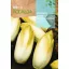 Endivija Mechelse Middelvroeg Rocalba 10 g