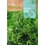 Rapini Cima Di Rapa (90 dana) Rocalba 10 g