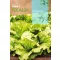 Batavijska salata De Pierre Benite Rocalba 6 g