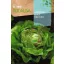 Salata Reina De Mayo Rocalba 6 g