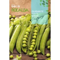 Borsó Televizija Rocalba 70 g