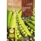 Zeleni grašak Rondo (ECO) Rocalba 30 g