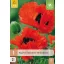 Évelő Papaver orientale Türkenlouis (Pipacs) 1 db JUB