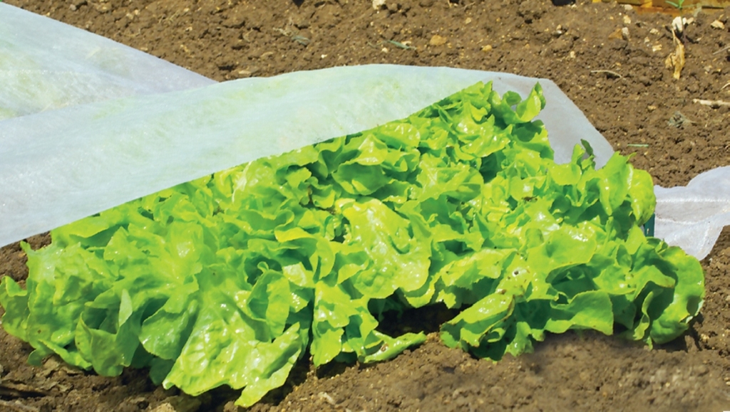 Veiling film Climatic 1,6x10m 17gr/m2