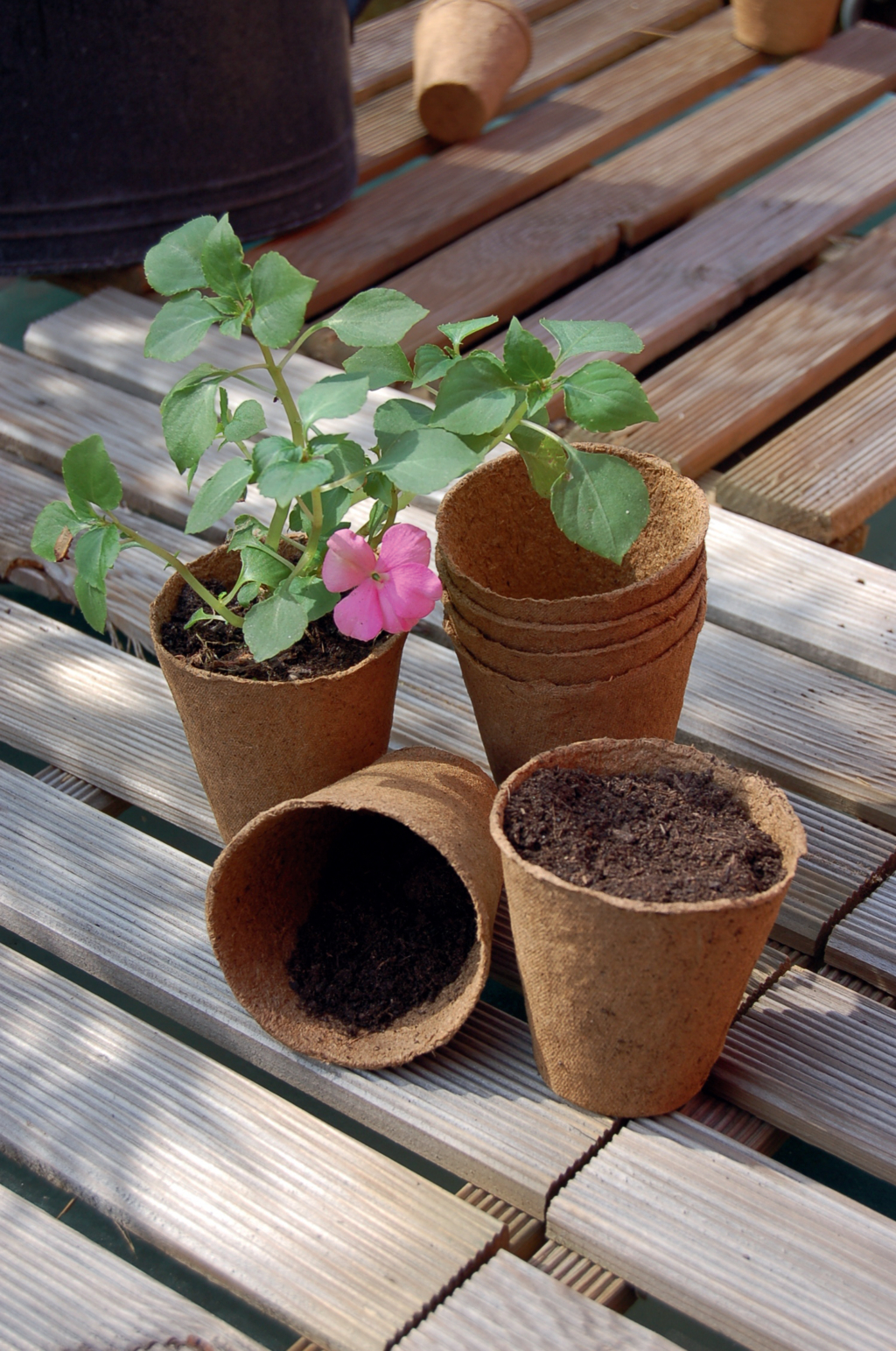 Peat pots "Growing pot" 8 cm diameter 16 pcs natural