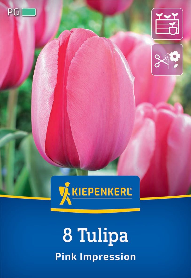 Flower Bulb Tulip Pink Impression Kiepenkerl 8 pcs