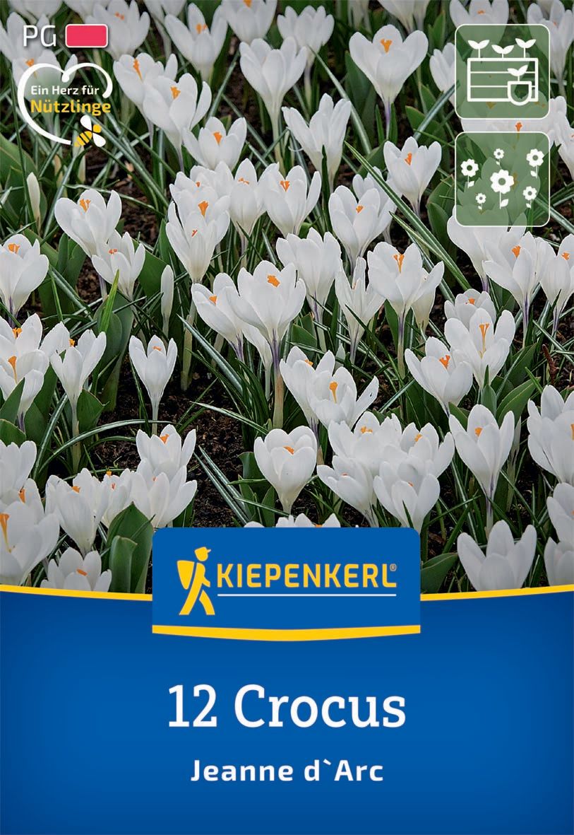 Flower Bulbs Coconut Jeanne d'Arc Kiepenkerl 12 pieces