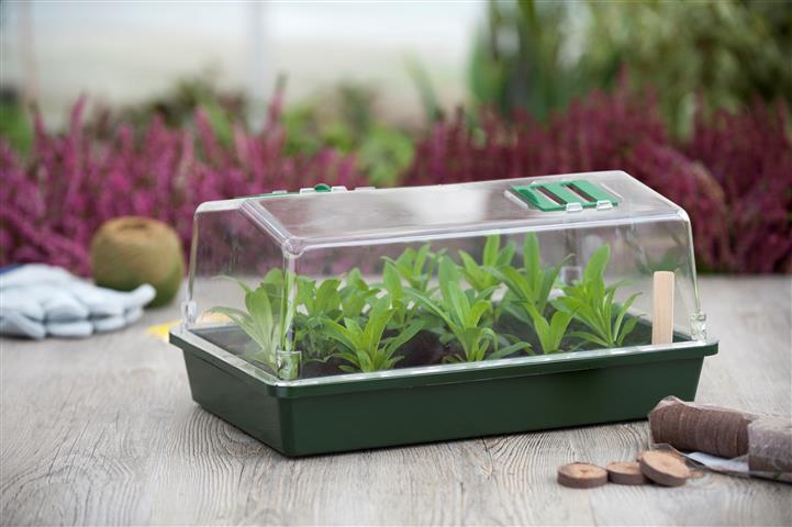 Propagator (Mini greenhouse) with ventilation