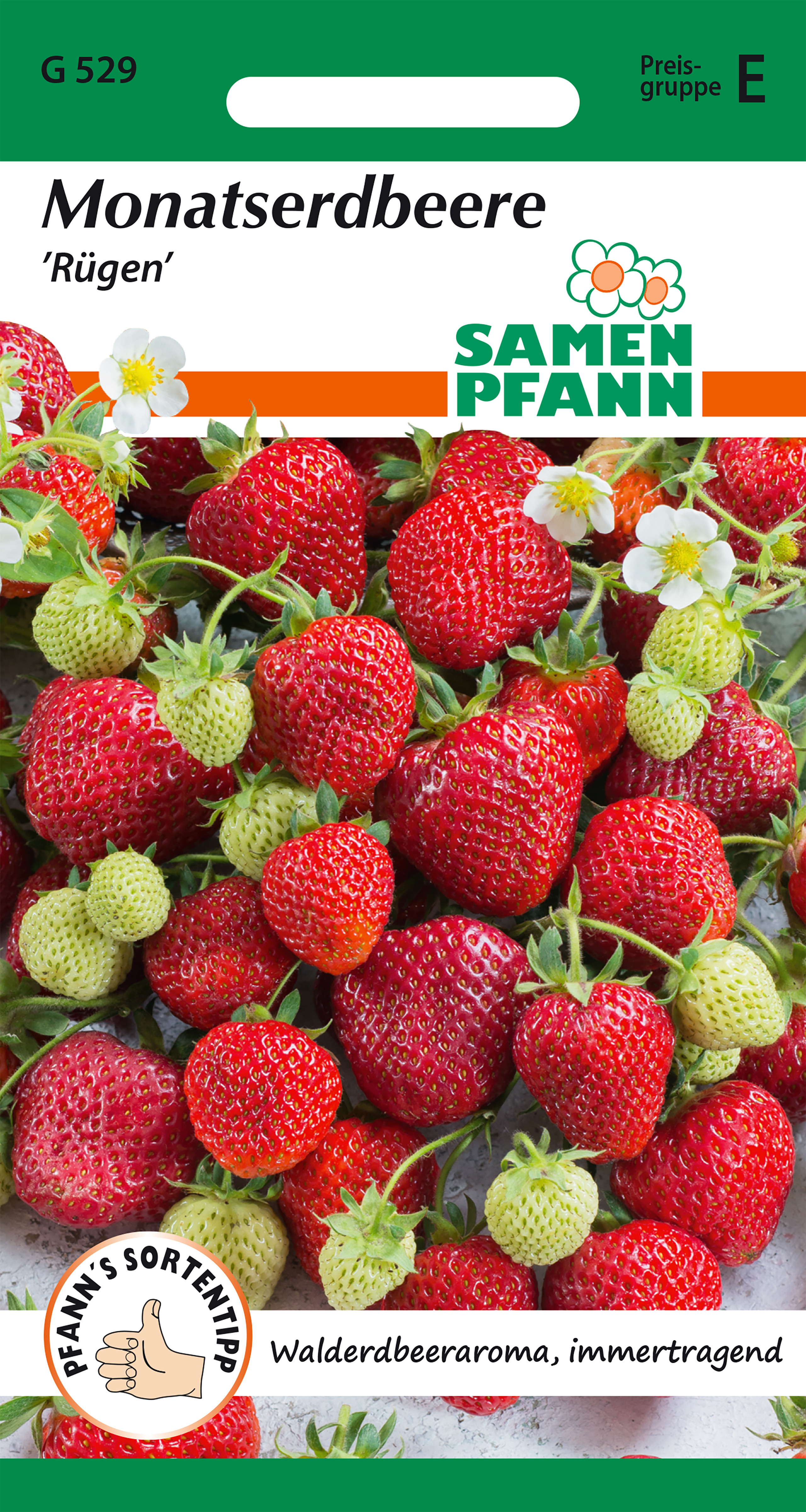 Wild strawberries Rügen 100 seeds seeds Pfann