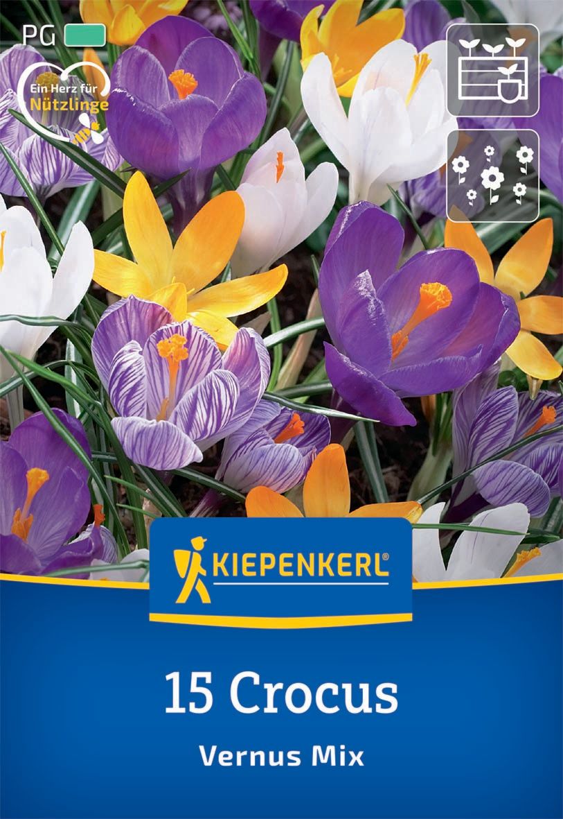 Flower Bulb Crocus Vernus Mix Kiepenkerl 15 pcs