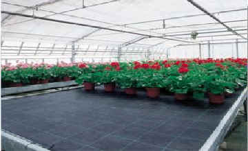 Agro fabric black 100g/m2 4.2mx100m