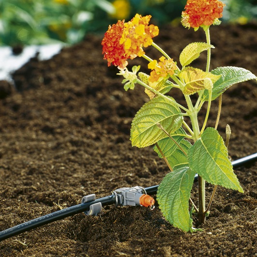 md-sorting sprinkler 2l/h (10 pcs)