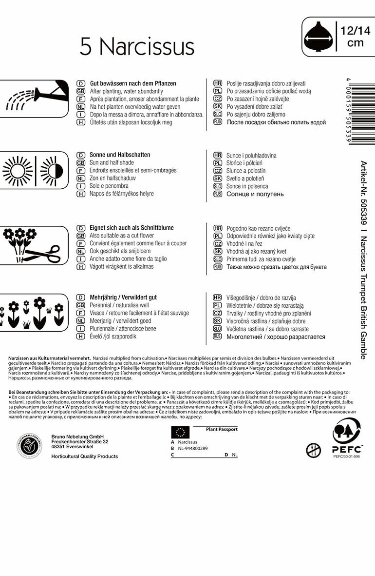 Bulbs Narcissus British Gamble 5 pcs Kiepenkerl