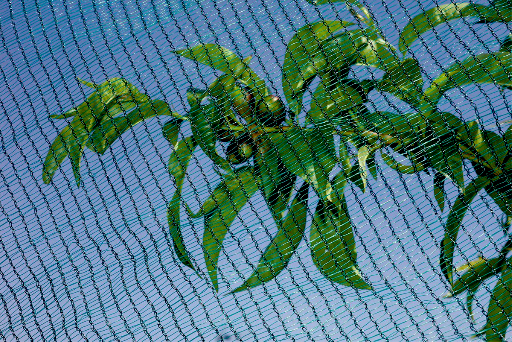 Ice damage protection net Nort Hailnet green-black 3x10 m