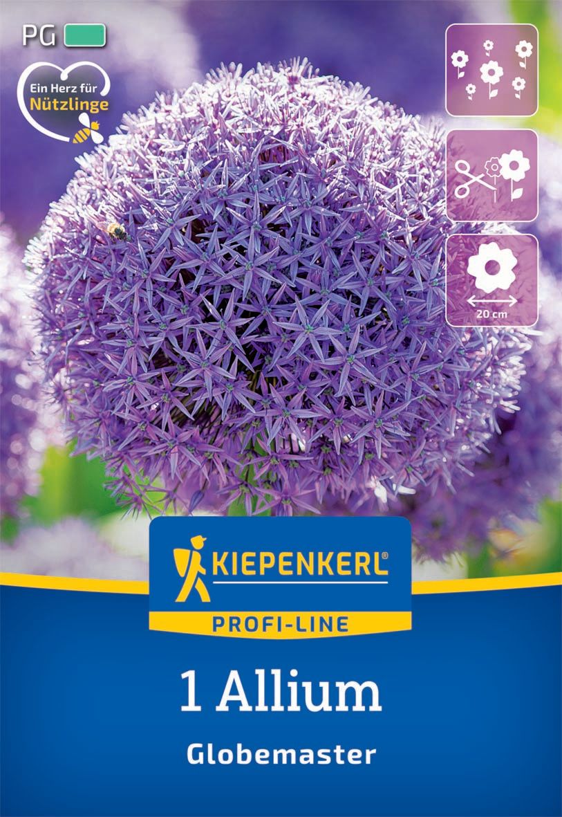 Flower Bulb Ornamental Onion Globemaster Kiepenkerl 1 pc