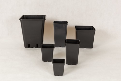 Plastic square pots 11x11x12 H cm