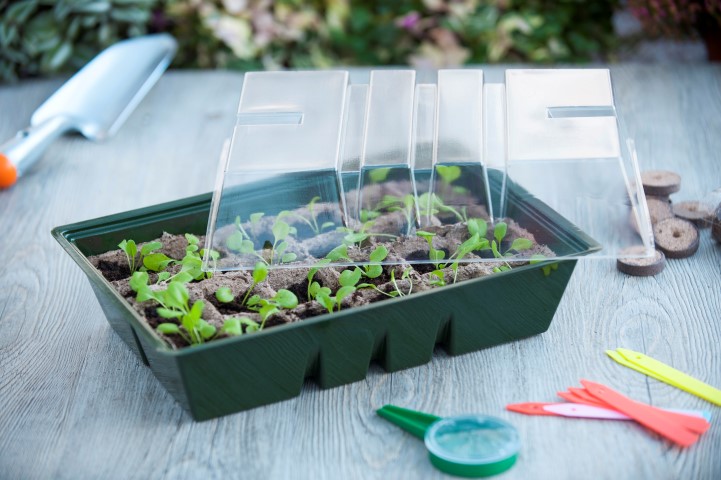 Sprouting tray (with peat moss bar)