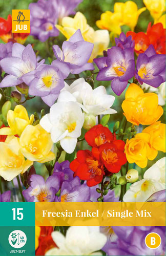 Flower bulbs Fresia Enkel/Single mix 15 pieces JUB
