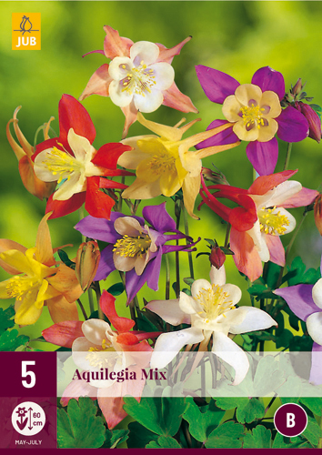 Perennial Aquilegia Mix (Garden Bellflower) 5 pieces JUB
