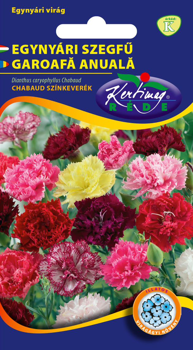 Carnation Chabaud colour mix