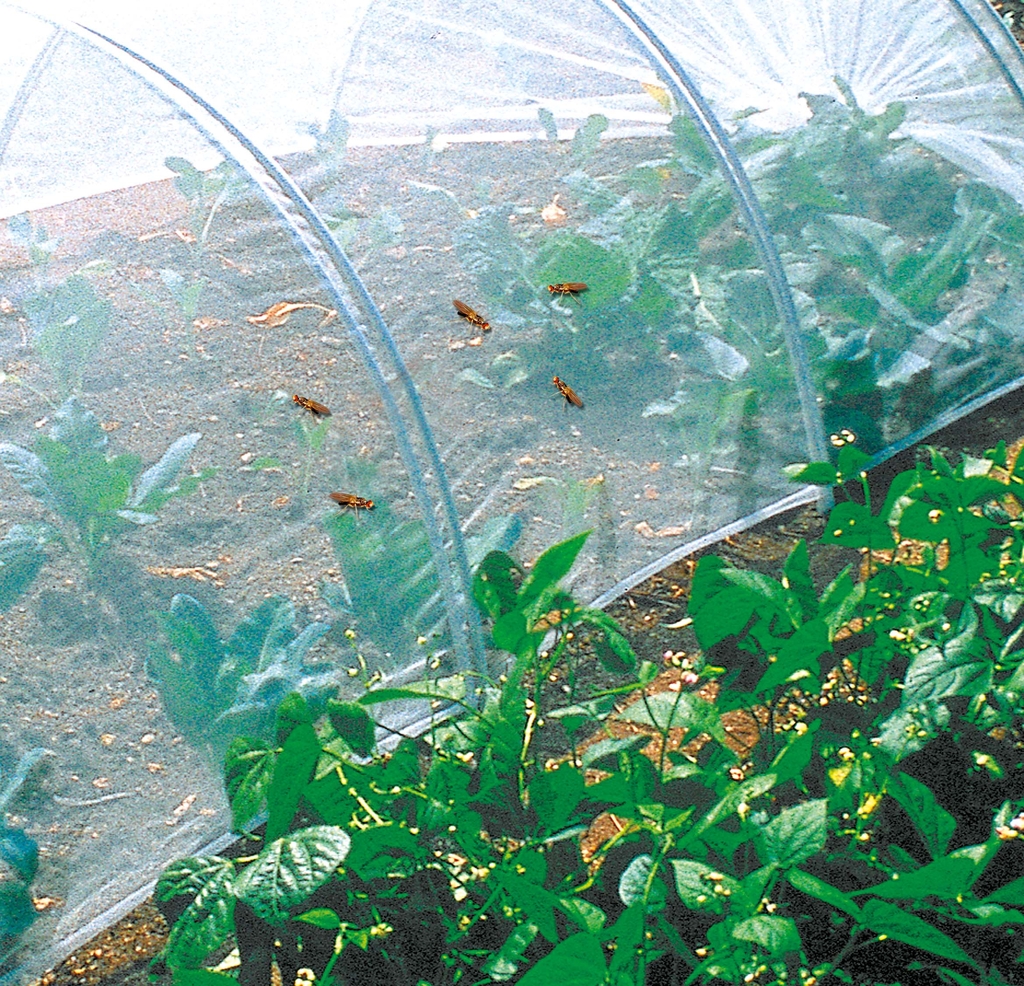 Insect screen Biocontrol (Climabio) 2,2x10 m (1x1 mm)