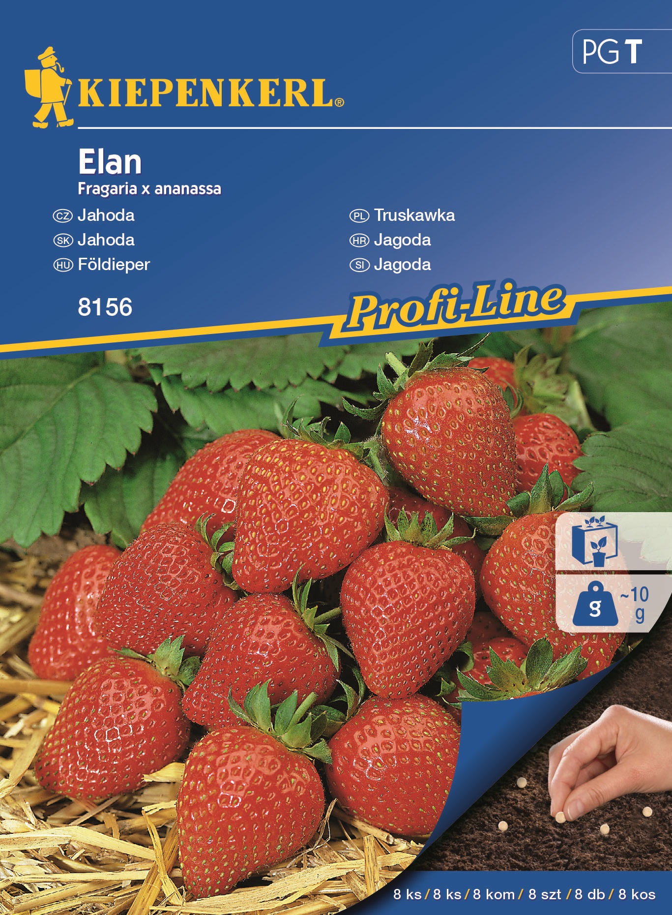 Drazzled strawberries Elan Kiepenkerl 8 grains