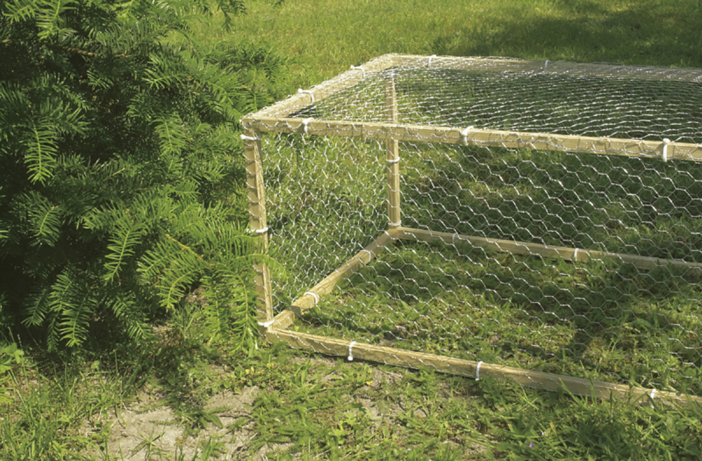Poultry grid Galvanex 41 0,5x10m (41x0,8mm)