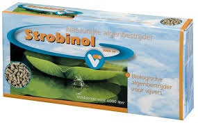 Algaecide "Strobinol" 3000 ml