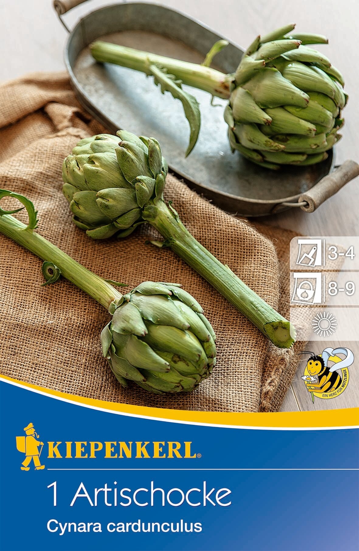 Artichokes (rhizome) Kiepenkerl 1 pc