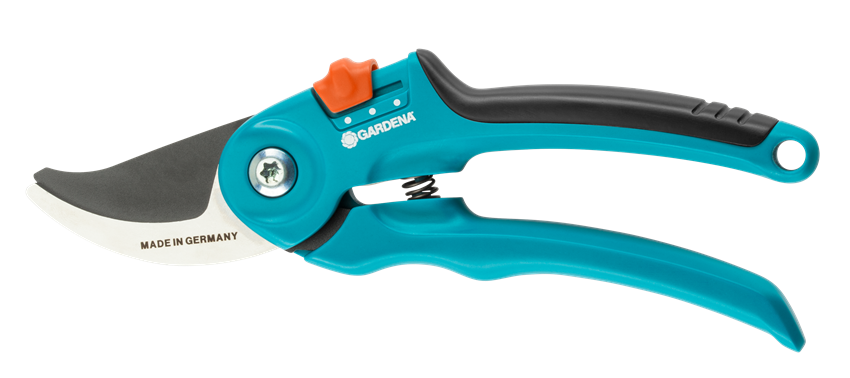 Classic vine pruning shears