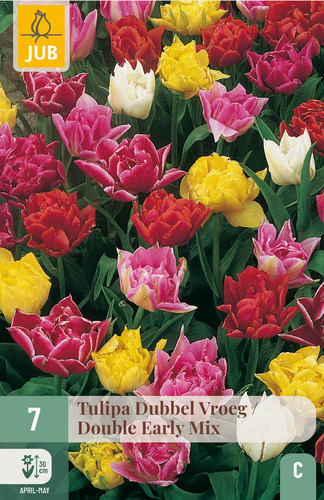 Bulb Tulip Dubbel Vroeg/Dubble Early Mix 7 pcs JUB