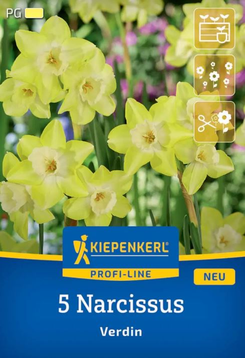 Bulb Daffodil Verdin Kiepenkerl 5 pcs