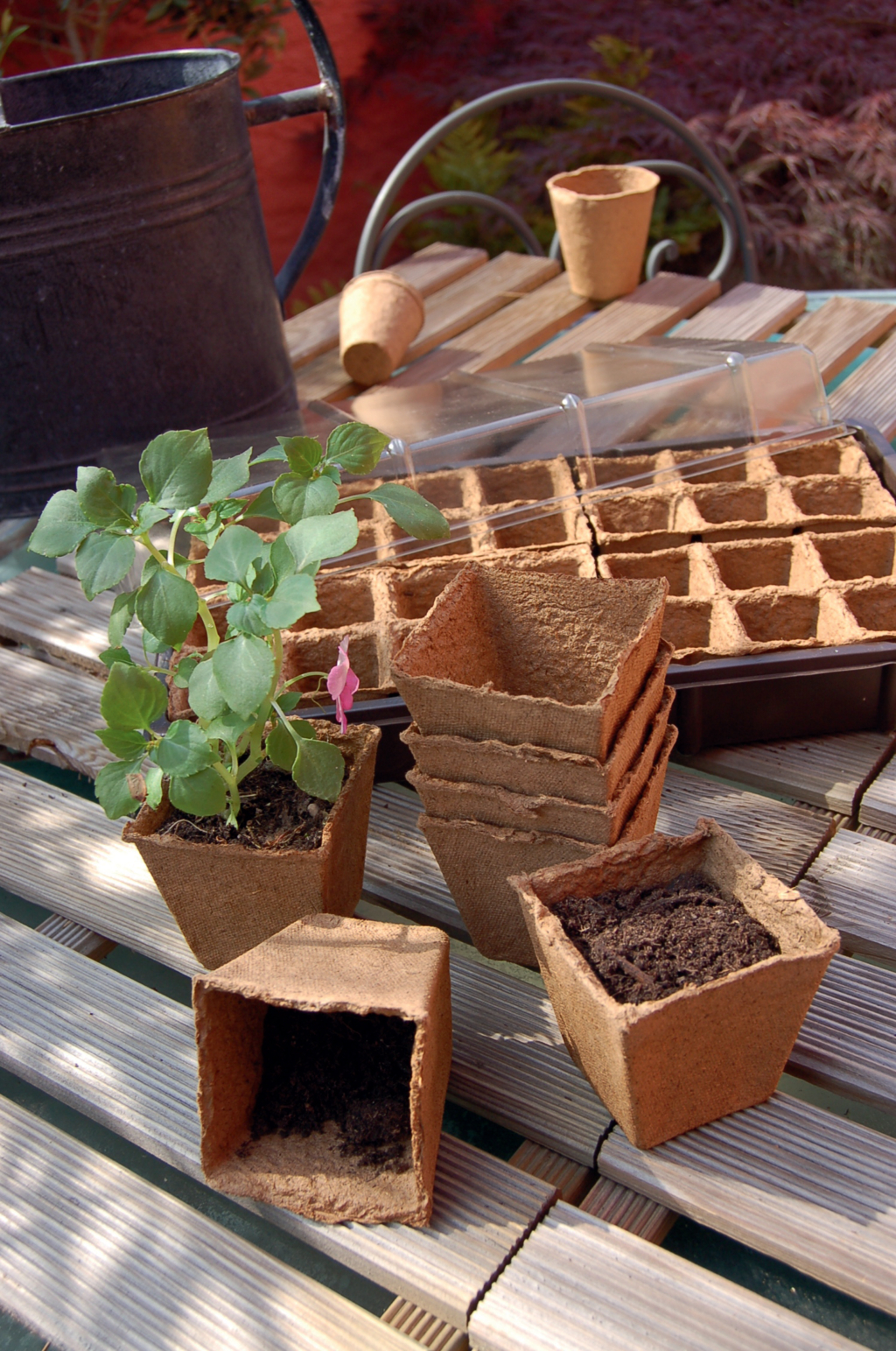 Peat pots "Growing pots" 8x8 cm 12 pcs
